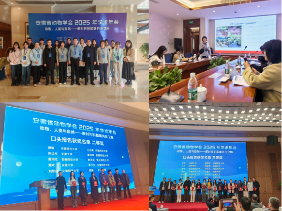 cd05dade434d4b2aa1f7affc34d46f6d.png cd05dade434d4b2aa1f7affc34d46f6d.png